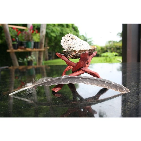 White Sage Smudge Sticks - Picture 4 of 4